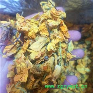 金莲花茶 内蒙古大兴安岭金莲花散装天然金连花花茶图4