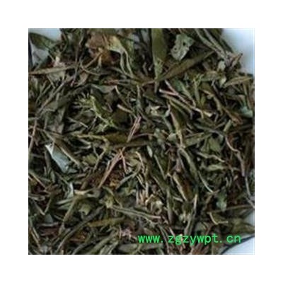 圣草康园杜鹃叶杜鹃花的叶无污染无硫新货杜鹃叶子