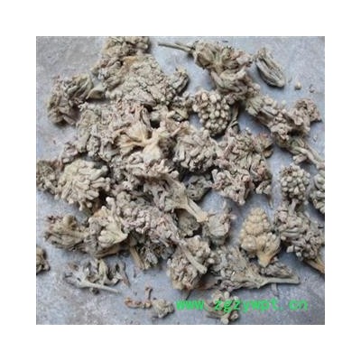 密蒙花 陈货 颜色不好 产地 四川省