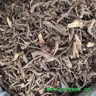 山白芷 羊耳菊 毛柴胡 白牛胆 全根 羊耳菊根 大力王 猪耳风 羊耳风 白面风根 重在品质吉康药业图2