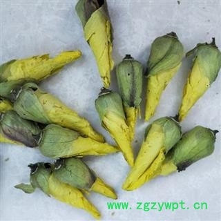 黄蜀葵花 花蕾 侧金盏花  京蜀葵 黄秋葵花蕾重在品质吉康药业图2