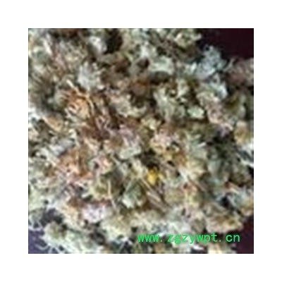 吉康药业中药材菊花  菊花 菊花炭