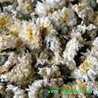 吉康药业中药材菊花  菊花 菊花炭图2