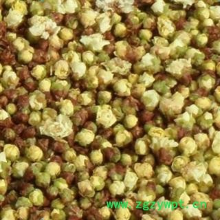 绿萼梅 绿萼梅花选货 花茶茶用绿梅花 产地 安徽省图2