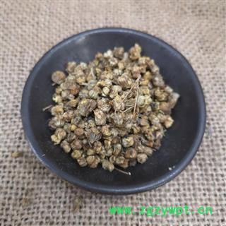 野菊花 菊花山菊花 野菊米图3