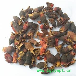 九盛堂 中药材 石榴花图2