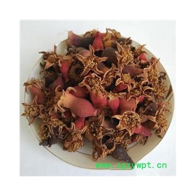 九盛堂 中药材 石榴花