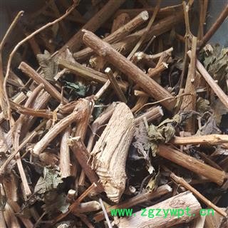 圣草康园马樱丹五色梅 五色花 马缨丹 红彩花 产地 广西柳州图2