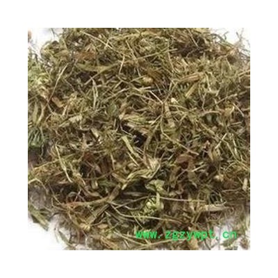 圣草康园中药材谷精草 耳朵刷子、挖耳朵草、珍珠草、鼓槌草、衣钮草、谷精珠