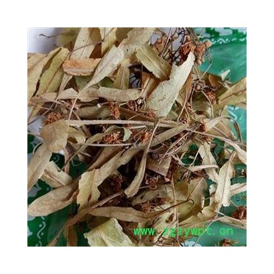 圣草康园椴树花 叶上果 滚筒树根 千层皮 青科榔