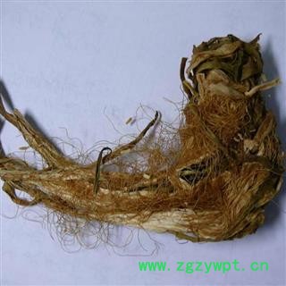 圣草康园中药材霸王花 量天尺花  昙花 剑花 七星花 韦陀花 龙骨花 七星剑花图2