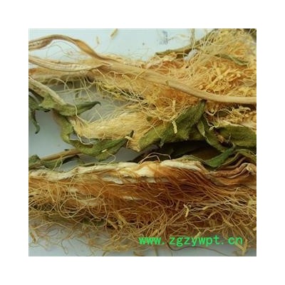 圣草康园中药材霸王花 量天尺花  昙花 剑花 七星花 韦陀花 龙骨花 七星剑花