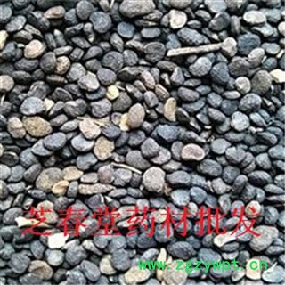 芝春堂 正品曼陀罗子 醉葡萄 天茄子 胡茄子 狗核桃 风茄果 伏茄子 醉仙桃图2