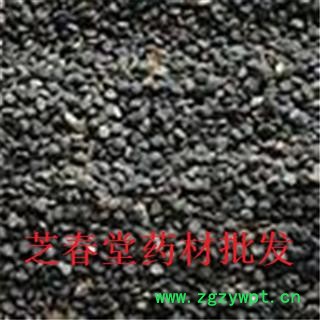 芝春堂 正品曼陀罗子 醉葡萄 天茄子 胡茄子 狗核桃 风茄果 伏茄子 醉仙桃图3