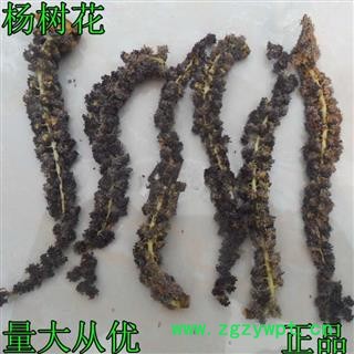 芝春堂 杨树花 正品 梧树芒 杨树吊 杨树须 杨树絮 杨絮 杨树花 毛白杨花絮 大叶杨花絮图4