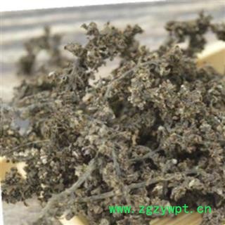 吉康药业中药材 药用带籽核桃花核桃花须带子干货 山核桃花图2