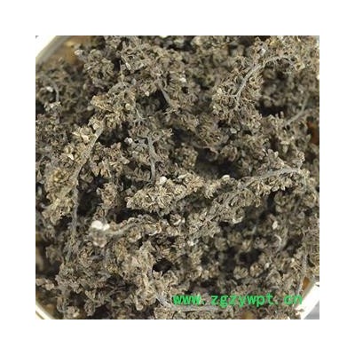 吉康药业中药材 药用带籽核桃花核桃花须带子干货 山核桃花