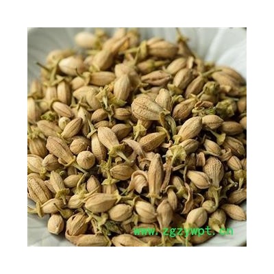 佛手花 佛柑花  减肥花  茶用今年新货