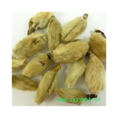 吉康药业中药材辛夷花 今年新货