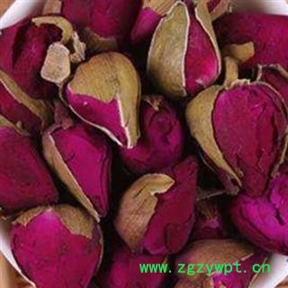 吉康药业月季花 大花 烘干香味浓郁 月月红 月月花 长春花 四季花 胜春图2