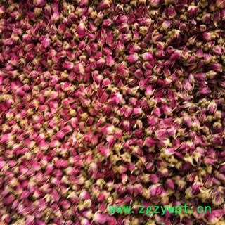 玫瑰花 甘肃苦水玫瑰王 产地 甘肃省图2