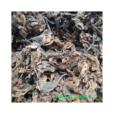 鸡蛋花 鸡蛋花统货 产地 福建省