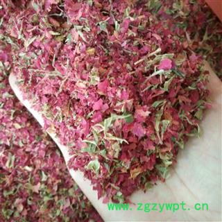 玫瑰花 玫瑰花碎瓣 0.6筛以下 产地 甘肃省图2