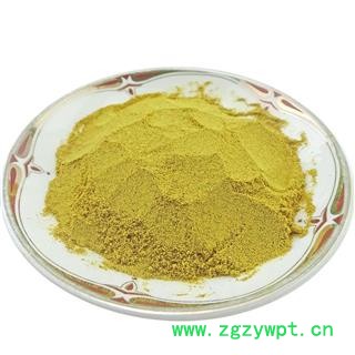 蒲黄 中药材 蒲黄粉 生蒲黄蒲棒草蒲草黄蒲厘花粉 蒲棒花粉图4