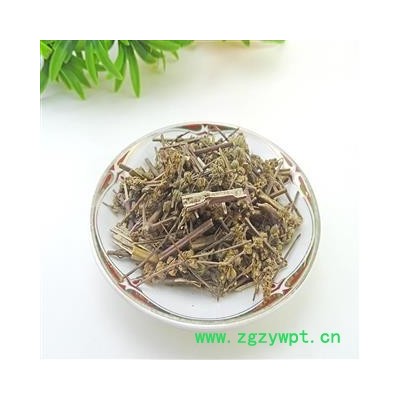 香芥穗荆芥穗   荆芥穗  荆芥 香荆芥 芥穗 中药材