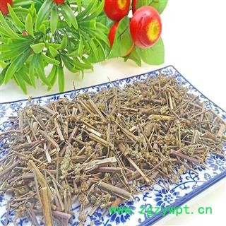 香芥穗荆芥穗   荆芥穗  荆芥 香荆芥 芥穗 中药材图2