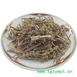 香芥穗荆芥穗   荆芥穗  荆芥 香荆芥 芥穗 中药材图4