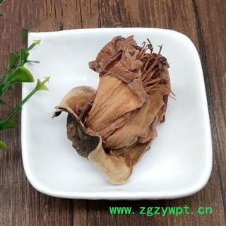 木棉花  木棉花干 攀枝花 红棉图3