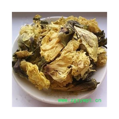 圣草康园黄蜀葵花 侧金盏花