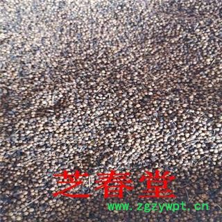 芝春堂 中药材批发散装 水翁花 水雍花 酒翁 各种冷背中药材供应图4