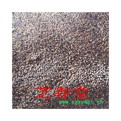 芝春堂 中药材批发散装 水翁花 水雍花 酒翁 各种冷背中药材供应