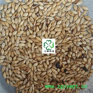 麦芽 炒麦芽 统 纯干 颜色好 无虫蛀 小峰药业 重在品质 产地 山东省图2