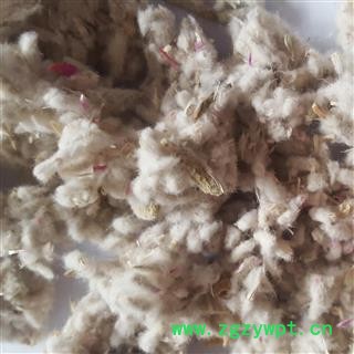 吉康药业红巧梅 千日红种子今年新货发芽率85%图2