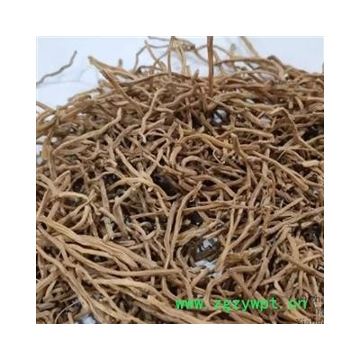 吉康药业 玉簪花根新货产地陕西