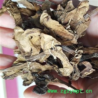 吉康药业  山栀子鸡蛋花 大花栀子泡茶 栀子花 鸡蛋花 缅栀子 擂捶花 大季花图2