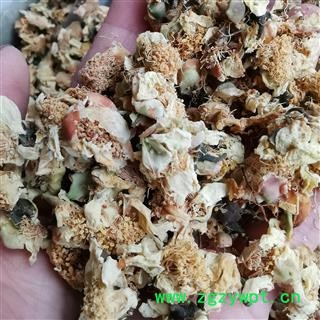 吉康药业吉康药业 山茶花 山茶花茶 雪梅花天山雪莲花图2