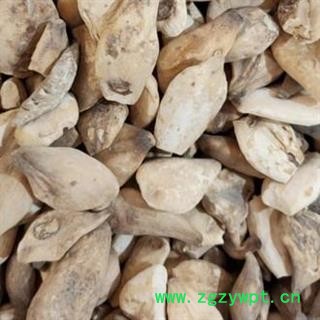 秋水仙 草原藏红花 索龙江 7天无理由退货退款产地直销重在品质吉康药业图2