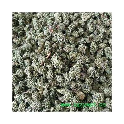 三七花 两年生三七花无柄小选货 产地 云南省