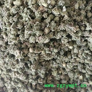 三七花 两年生三七花无柄小选货 产地 云南省图2