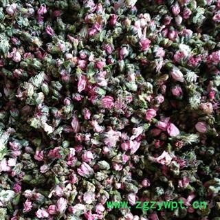 桃花 家中桃花 选货 产地 山东省图2