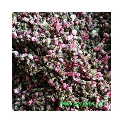 桃花 家中桃花 选货 产地 山东省