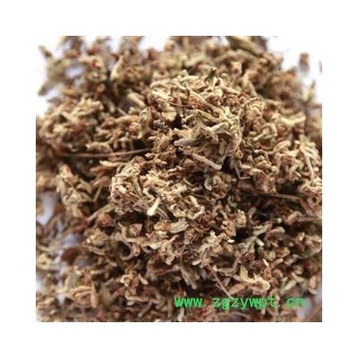 圣草康园芫花 芫花 熟芫花