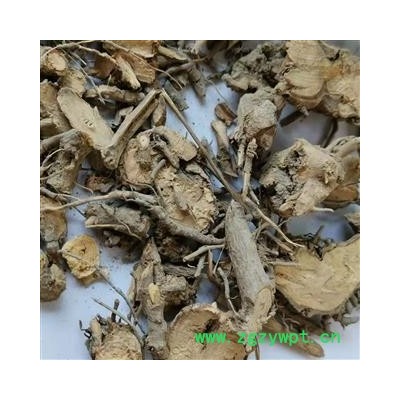 中药材 茉莉花根 茉莉根 非紫茉莉根