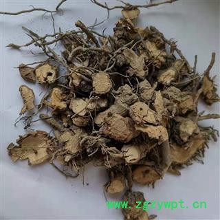中药材 茉莉花根 茉莉根 非紫茉莉根图3