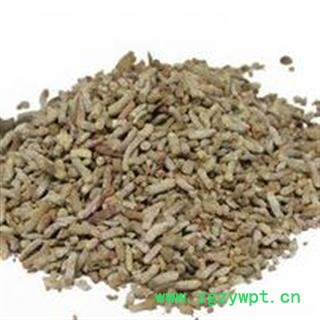 圣草康园白丁香 麻雀粪  量大从优图2