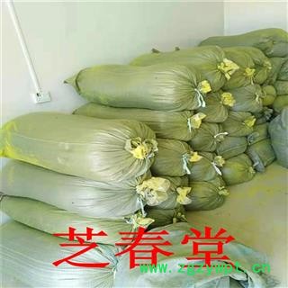 中药材批发蒲黄 无硫蒲黄粉 承接大货 支持检验蒲黄粉图3